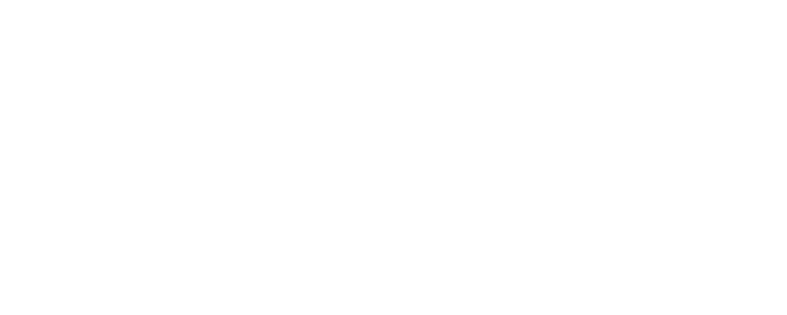 travid logo valk transp